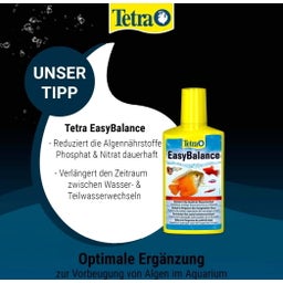 Tetra Algizit - 10 Stk