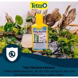 Tetra FilterActive