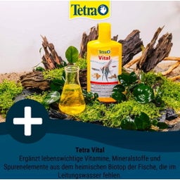Tetra Vital - 250ml
