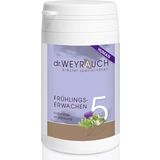 Dr. Weyrauch Nr. 5 Frühlingserwachen - Für Reiter