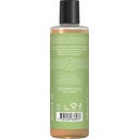 URTEKRAM Nordic Beauty Aloe Vera Shampoo - 250 ml