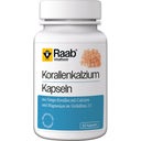 Raab Vitalfood Korallenkalzium - 80 Kapseln