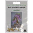 TROPICA Afrikanischer Blauregen - 2 g