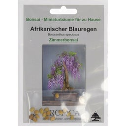 TROPICA Afrikanischer Blauregen - 2 g