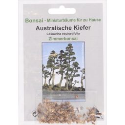 TROPICA Australische Kiefer - 100 Körner