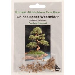 TROPICA Chinesischer Wacholder - 30 Körner