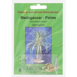 TROPICA Madagascar-Palme - 10 Körner