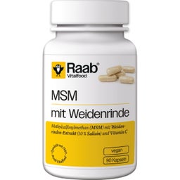Raab Vitalfood MSM mit Weidenrinde - 90 Kapseln