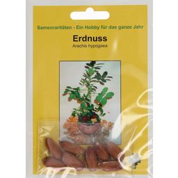 TROPICA Erdnuss - 8 Körner