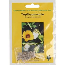 TROPICA Topfbaumwolle - 12 Körner