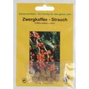 TROPICA Zwergkaffee-Strauch - 8 Körner