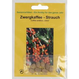 TROPICA Zwergkaffee-Strauch - 8 Körner