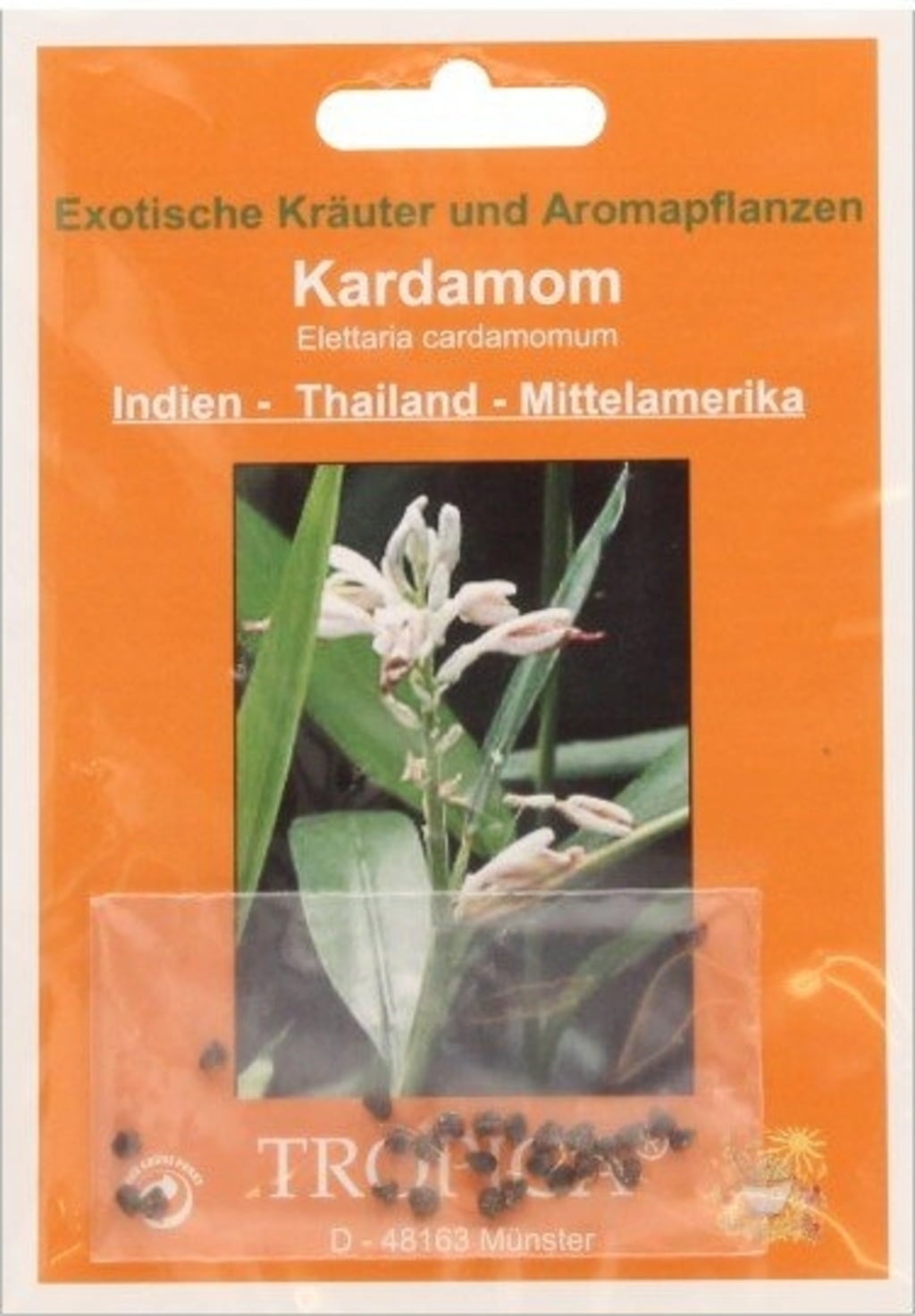 TROPICA Kardamom - 20 Körner