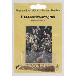 TROPICA Hasenschwanzgras - 100 Körner