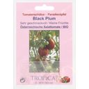 TROPICA Bio Tomate 