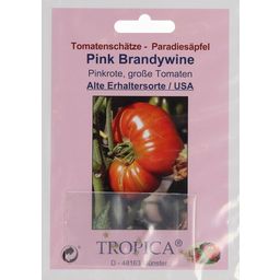 TROPICA Tomate "Pink Brandywine"
