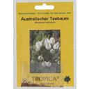 TROPICA Australischer Teebaum - 400 Körner