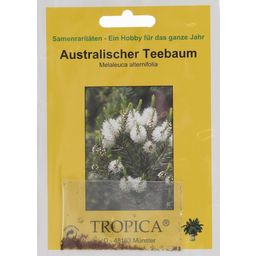 TROPICA Australischer Teebaum - 400 Körner