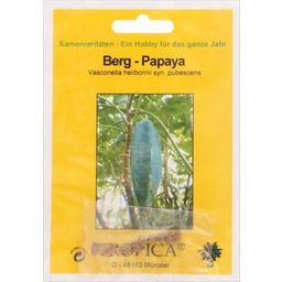 TROPICA Berg-Papaya - 10 Körner