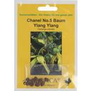 TROPICA Chanel No. 5 Baum - 1 Pkg