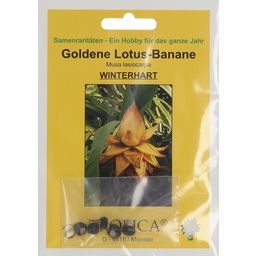 TROPICA Goldene Lotusbanane - 5 Körner