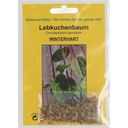 TROPICA Lebkuchenbaum - 100 Körner
