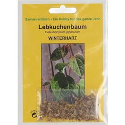 TROPICA Lebkuchenbaum