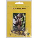 TROPICA Leberwurstbaum