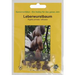 TROPICA Leberwurstbaum - 10 Körner
