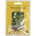TROPICA Taschentuchbaum - 1 Pkg