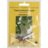 TROPICA Taschentuchbaum