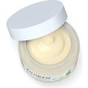 Basis Sensitiv Anti-Falten Feuchtigkeitscreme Q10 - 50 ml