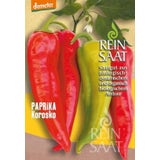 ReinSaat Paprika "Korosko"