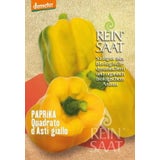 ReinSaat Paprika ''Quadrato d‘Asti giallo''