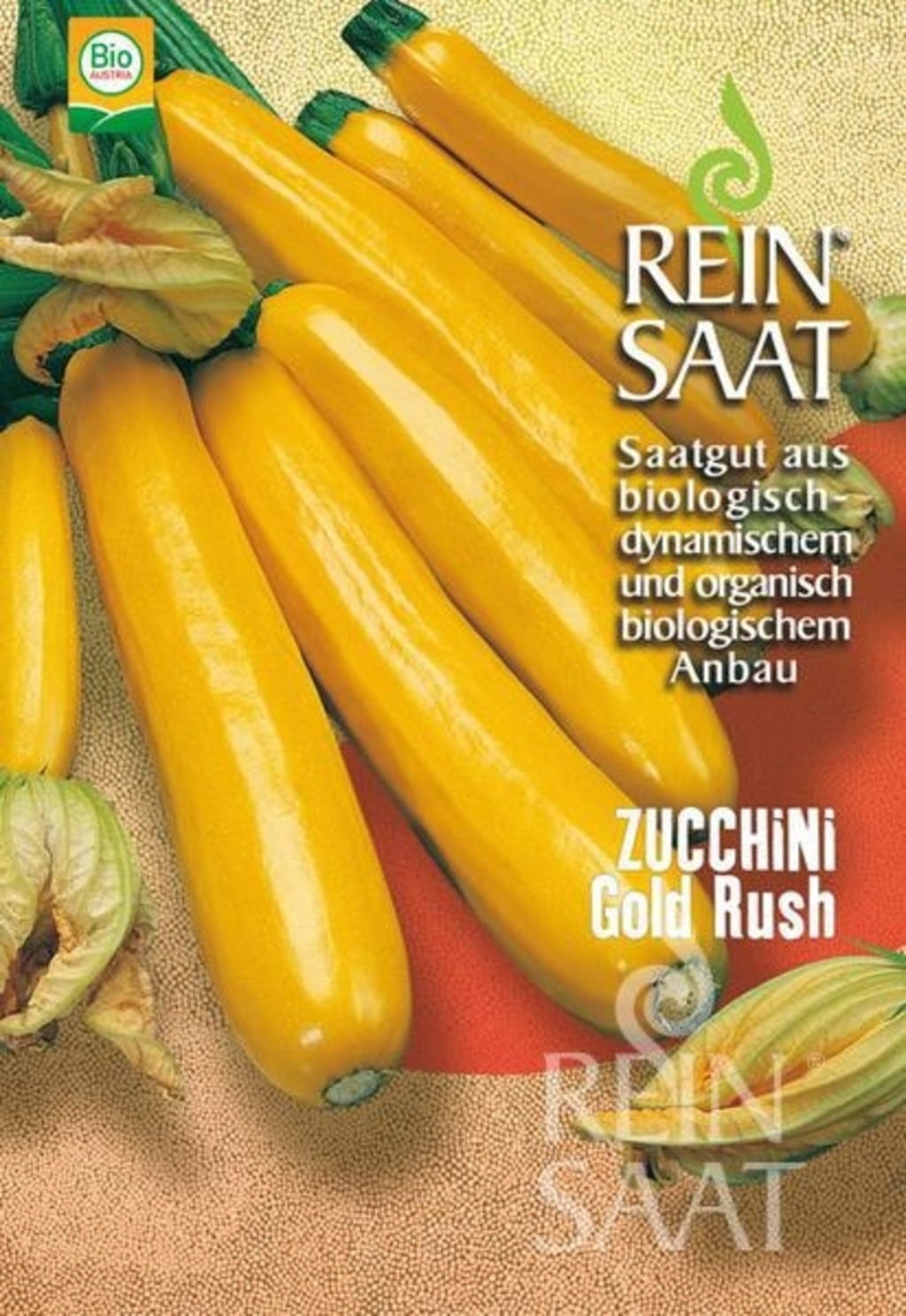 Zucchini 