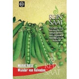 ReinSaat Markerbse "Wunder von Kelvedon"