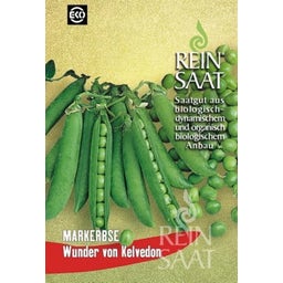 ReinSaat Markerbse 