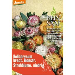 ReinSaat Strohblume, niedrig - 1 Pkg