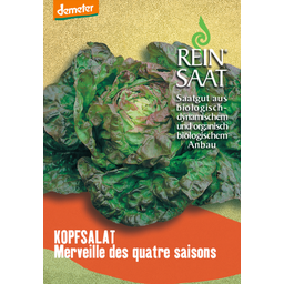 ReinSaat Kopfsalat 