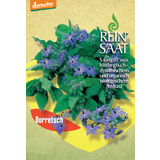 ReinSaat Borretsch