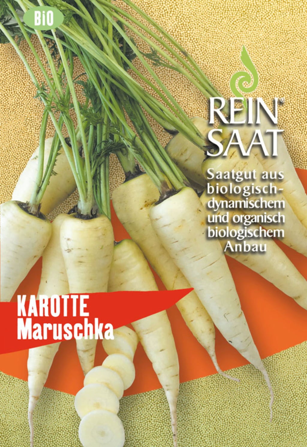 Karotte 