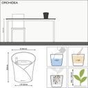Lechuza Tischgefäß ORCHIDEA