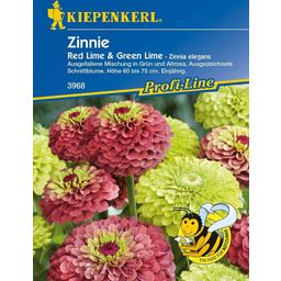 Kiepenkerl Zinnien "Red Lime & Green Lime"