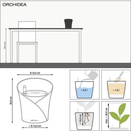 Lechuza Tischgefäß ORCHIDEA