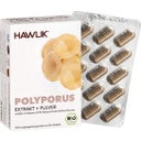 Hawlik Polyporus Extrakt + Pulver Bio - 60 Kapseln