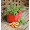 Haxnicks Karottenpflanztasche im 2er Set - 2 Stk