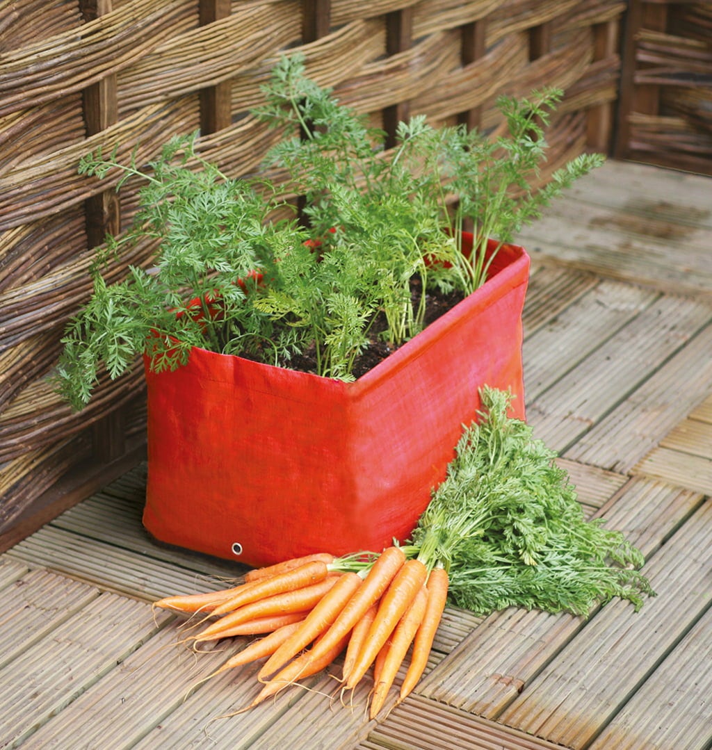 Haxnicks Karottenpflanztasche im 2er Set - 2 Stk