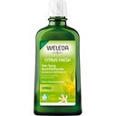 Weleda Citrus 24h Deo Spray Nachfüller - 200 ml Nachfüllflasche