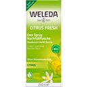 Weleda Citrus 24h Deo Spray Nachfüller - 200 ml Nachfüllflasche
