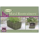 Haxnicks Maxi Rootrainers - 1 Stk